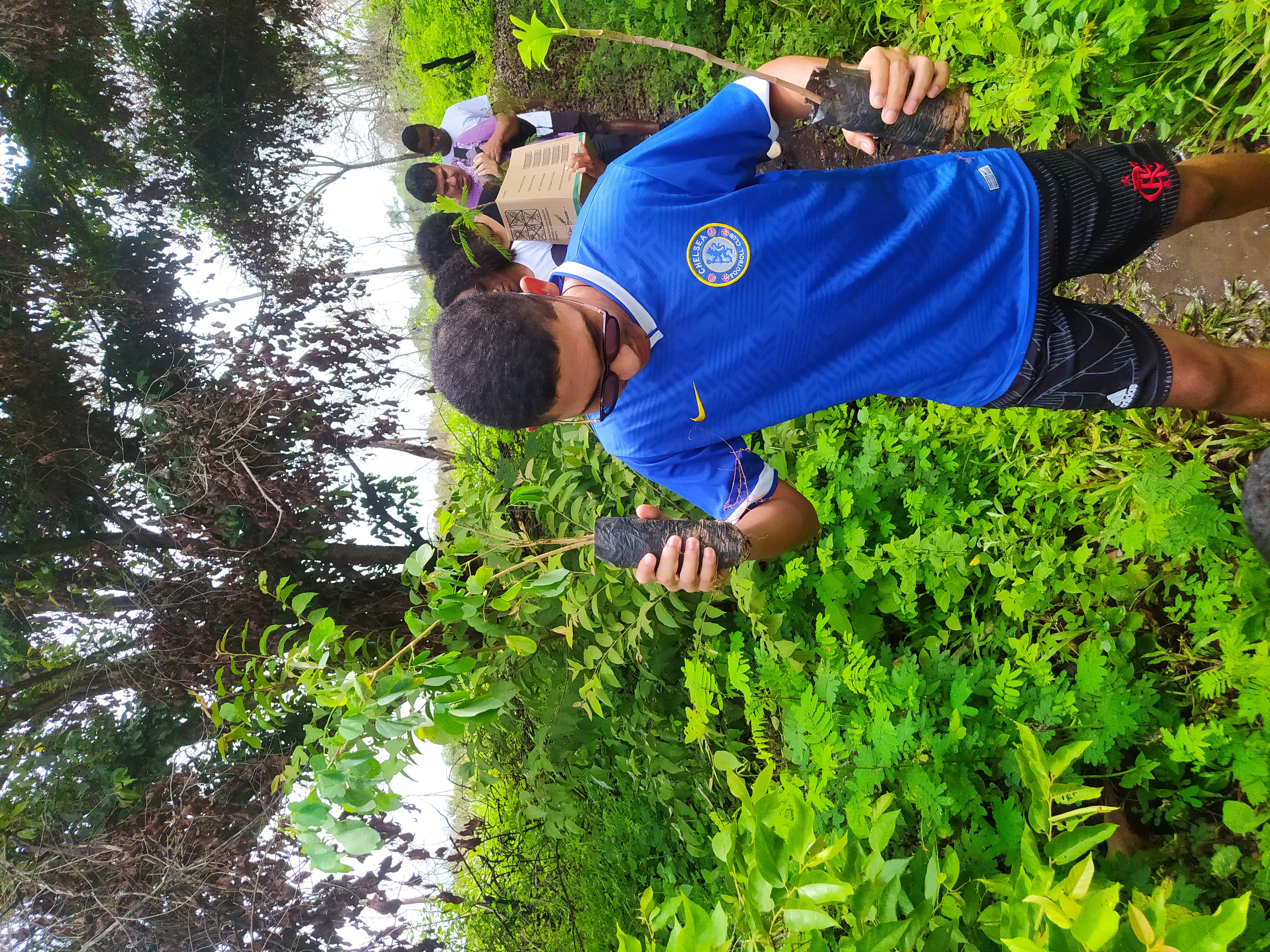 carrapatocultural.com 